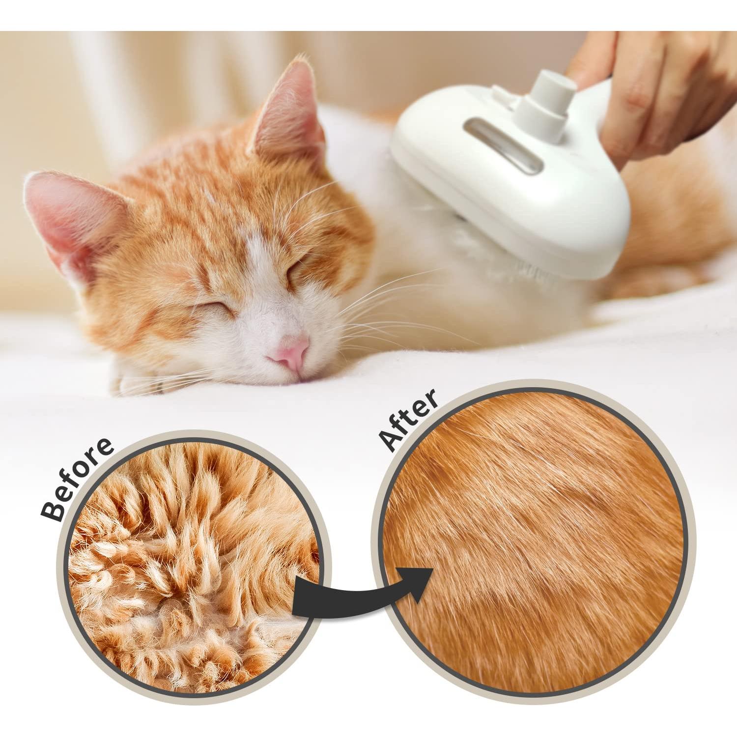 Cepillo de Vapor 3 en 1 Pecait para Gatos y Perros - Autolimpiante