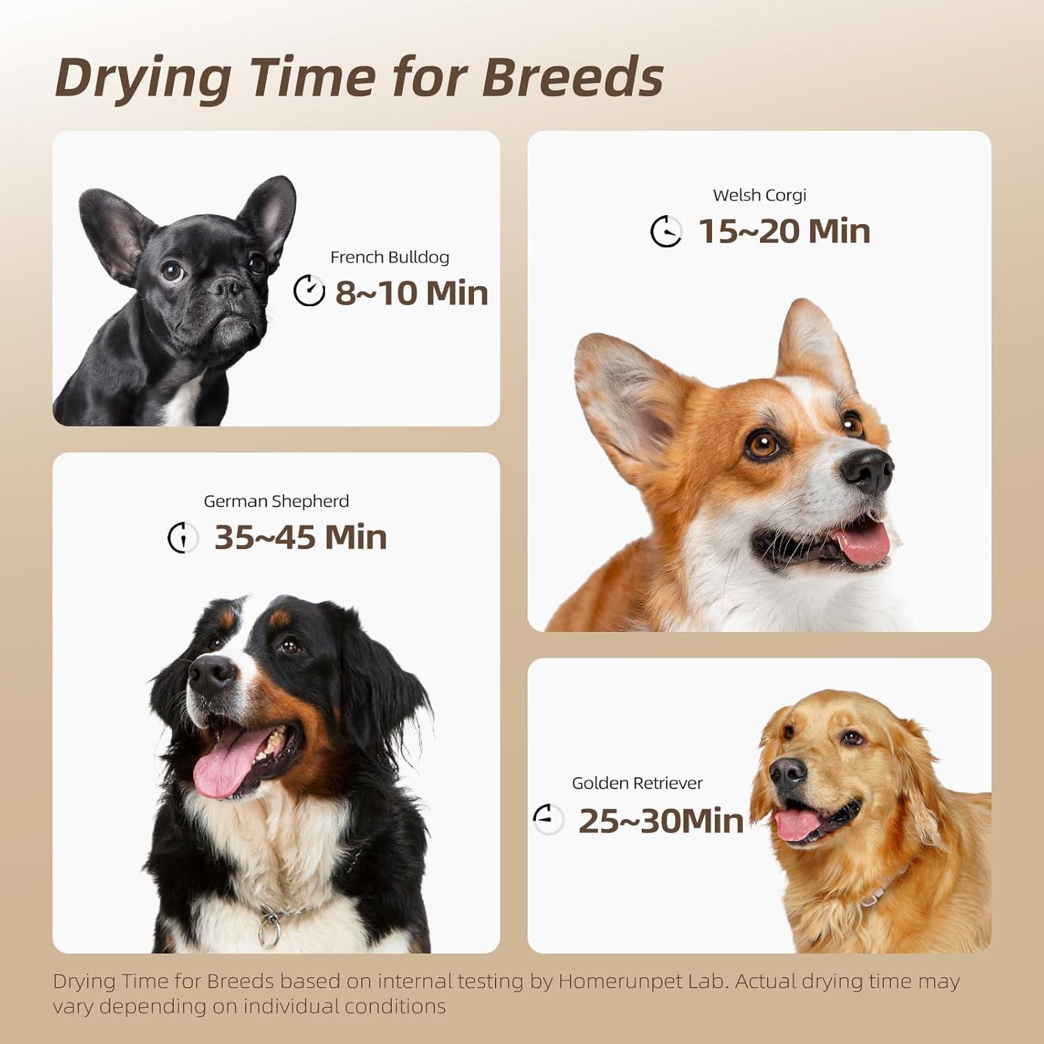 Secador de Perros BUENKEE 151m/s con 4 Boquillas y Manguera 2m