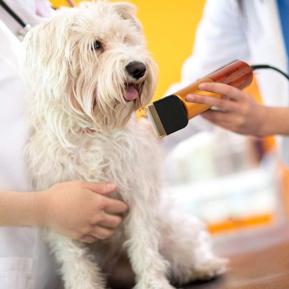 Cortadora de Pelo para Mascotas Dream Reach A-200W Eléctrica