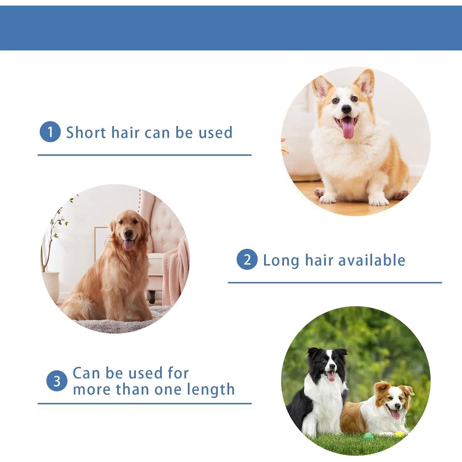 Cuchilla de Reemplazo Nebot P1 Pro 5F para Aseo de Mascotas