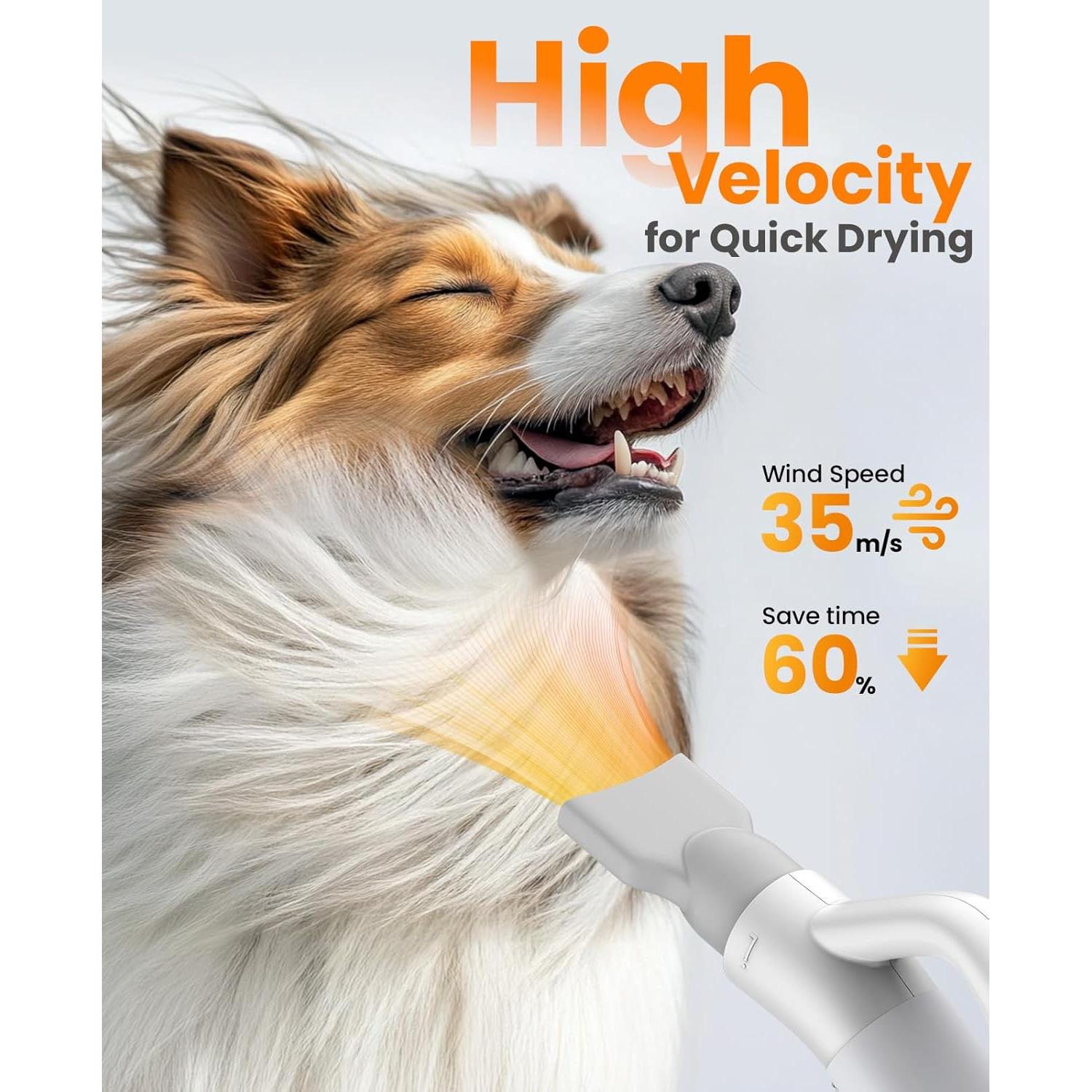 Secador de Pelo para Perros Oneisall MAS 520, 3000W, Silencioso