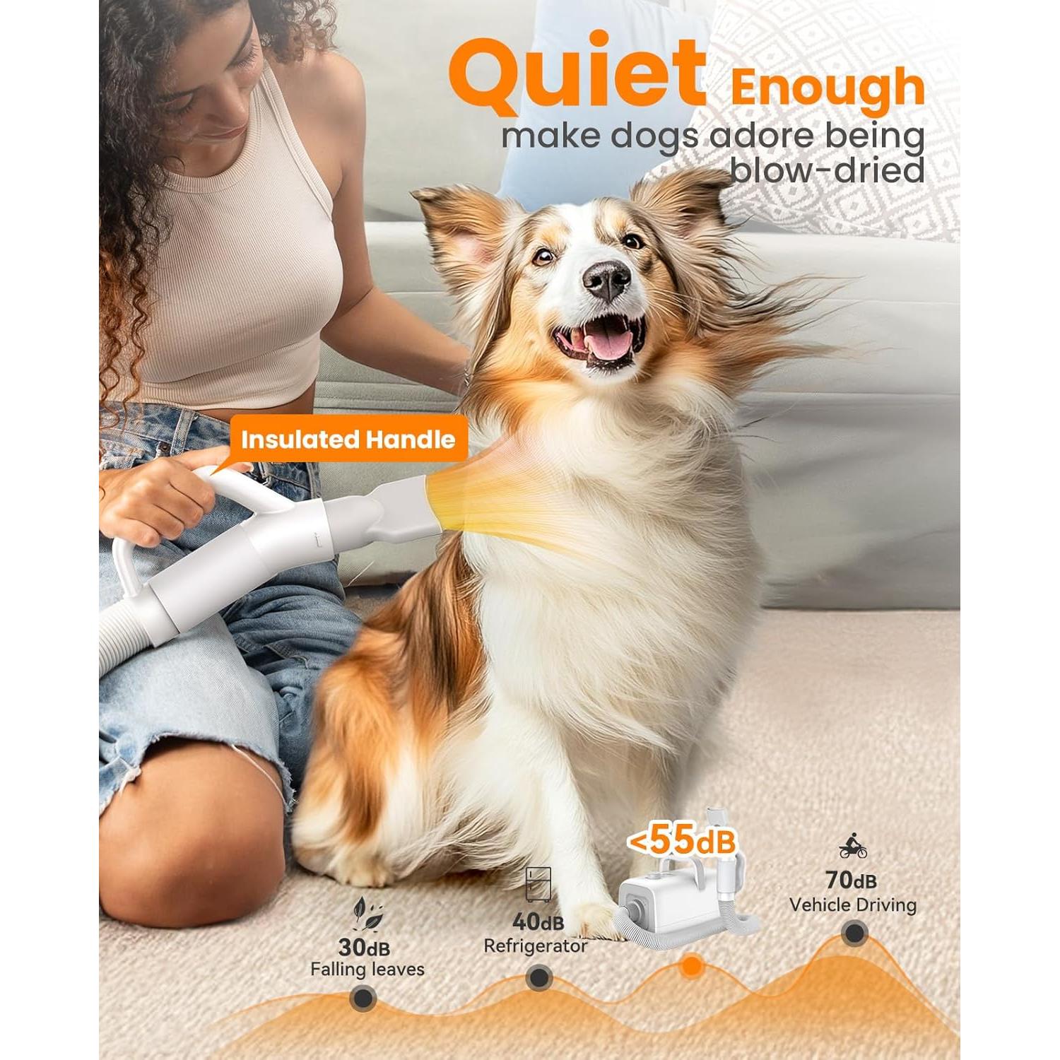 Secador de Pelo para Perros Oneisall MAS 520, 3000W, Silencioso