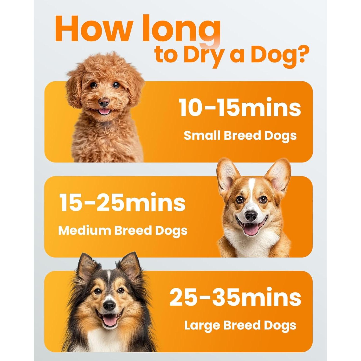 Secador de Pelo para Perros Oneisall MAS 520, 3000W, Silencioso