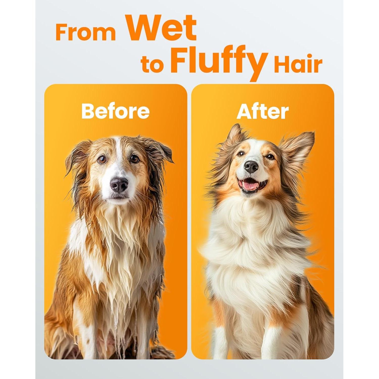 Secador de Pelo para Perros Oneisall MAS 520, 3000W, Silencioso