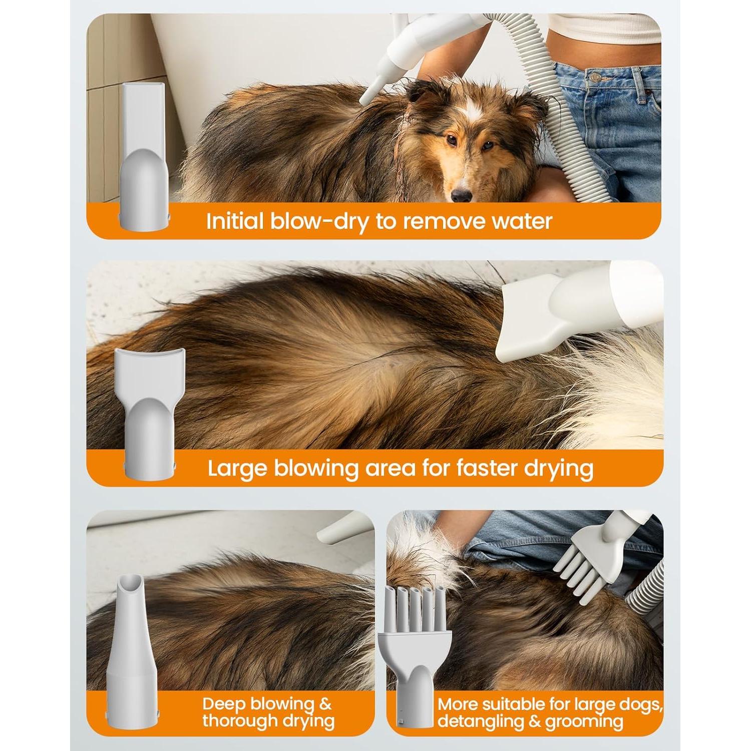 Secador de Pelo para Perros Oneisall MAS 520, 3000W, Silencioso