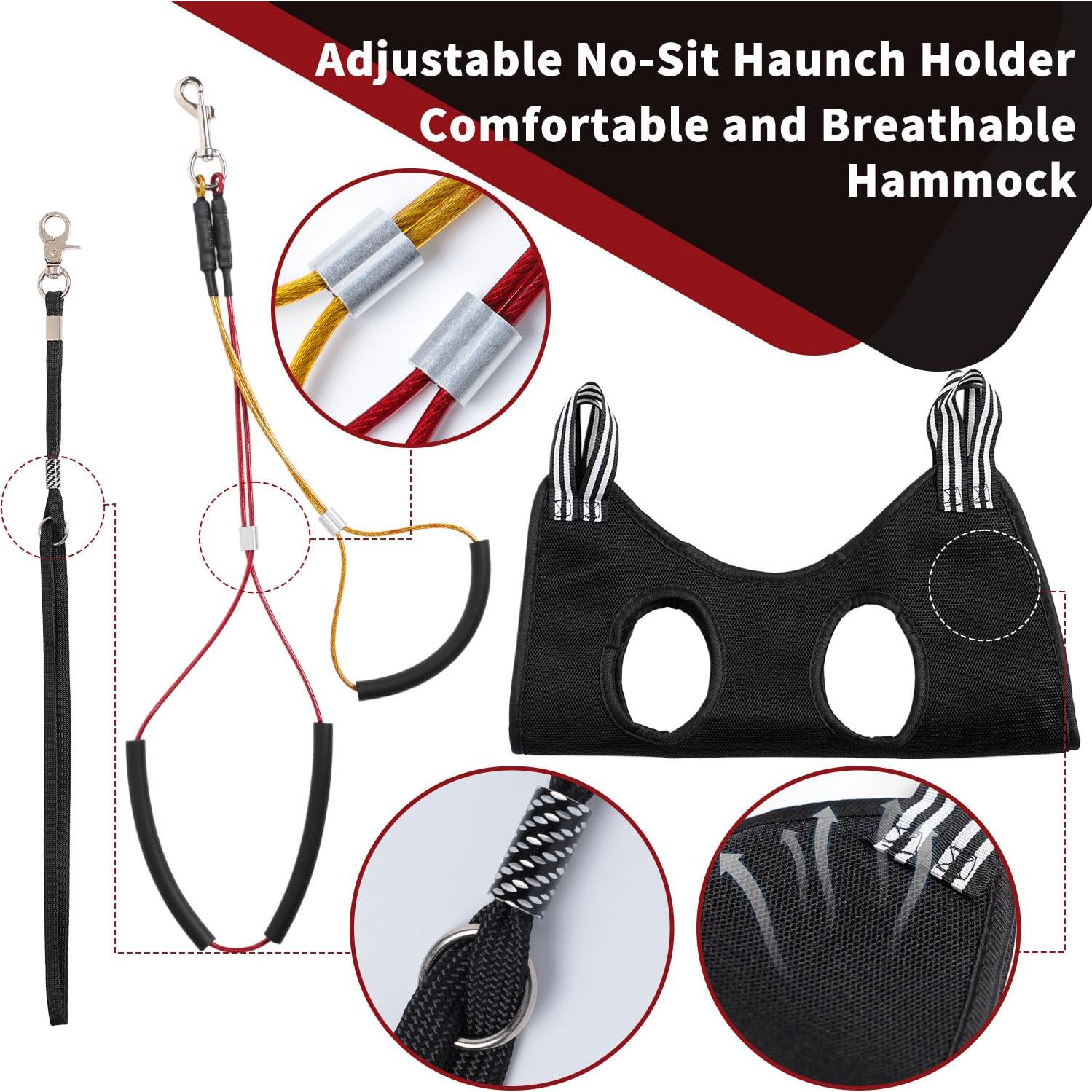 Brazo de Mesa de Aseo para Perros Phenfor - Altura Ajustable