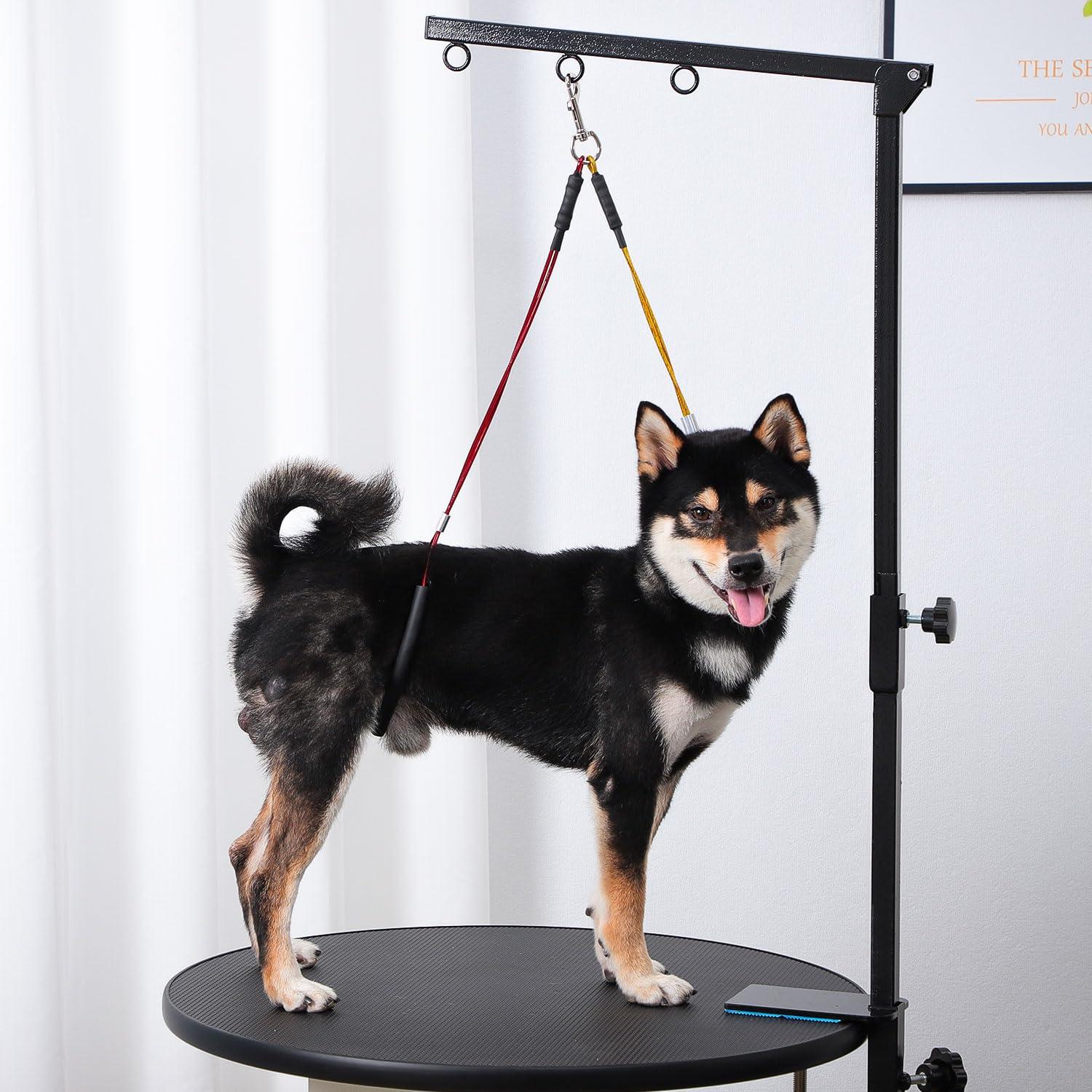 Brazo de Mesa de Aseo para Perros Phenfor - Altura Ajustable