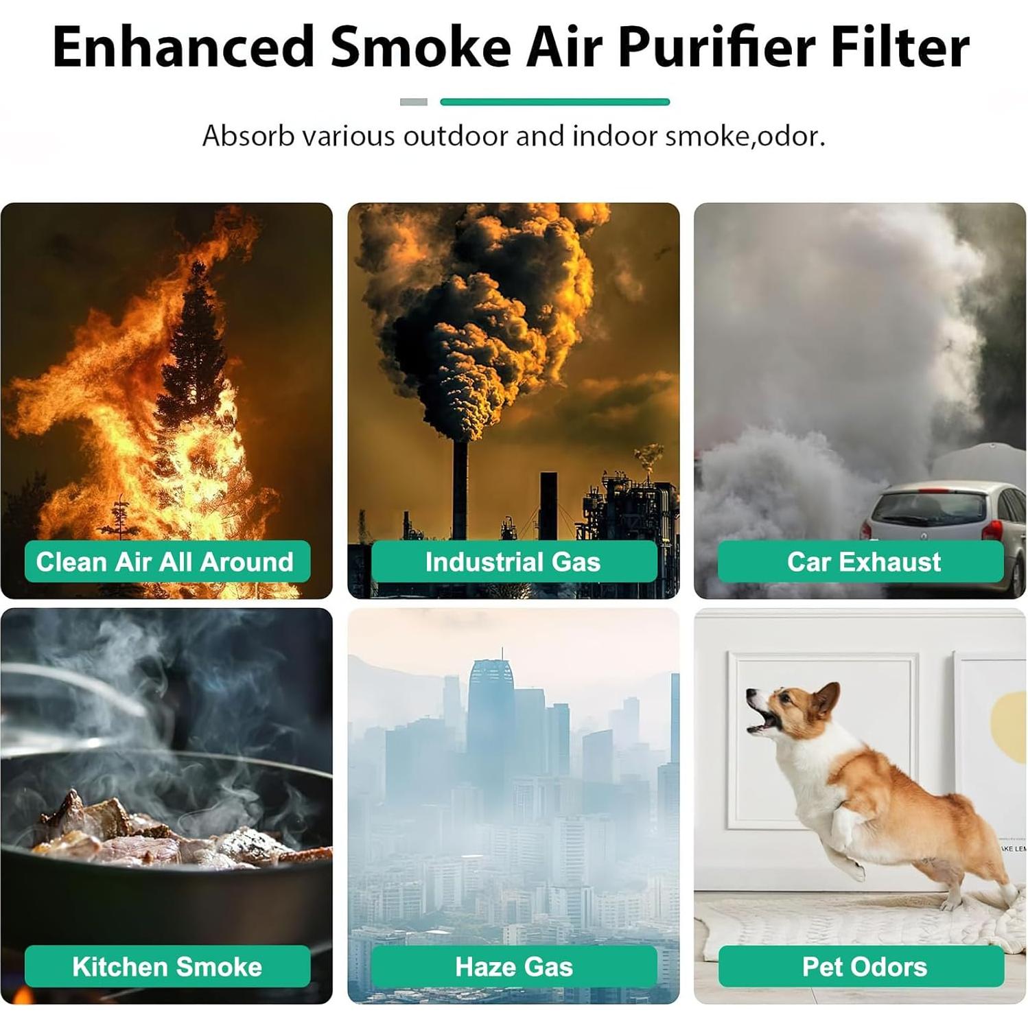 Filtro de Reemplazo HEPA LMEDIT Core 300 para Mascotas 2Pack