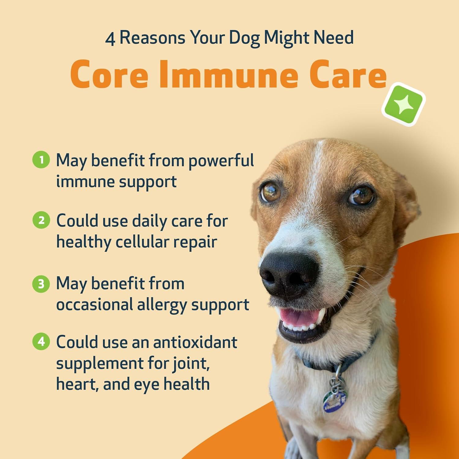 Cuidado Inmunológico Core Pet Wellbeing 105g - Soporte Antioxidante