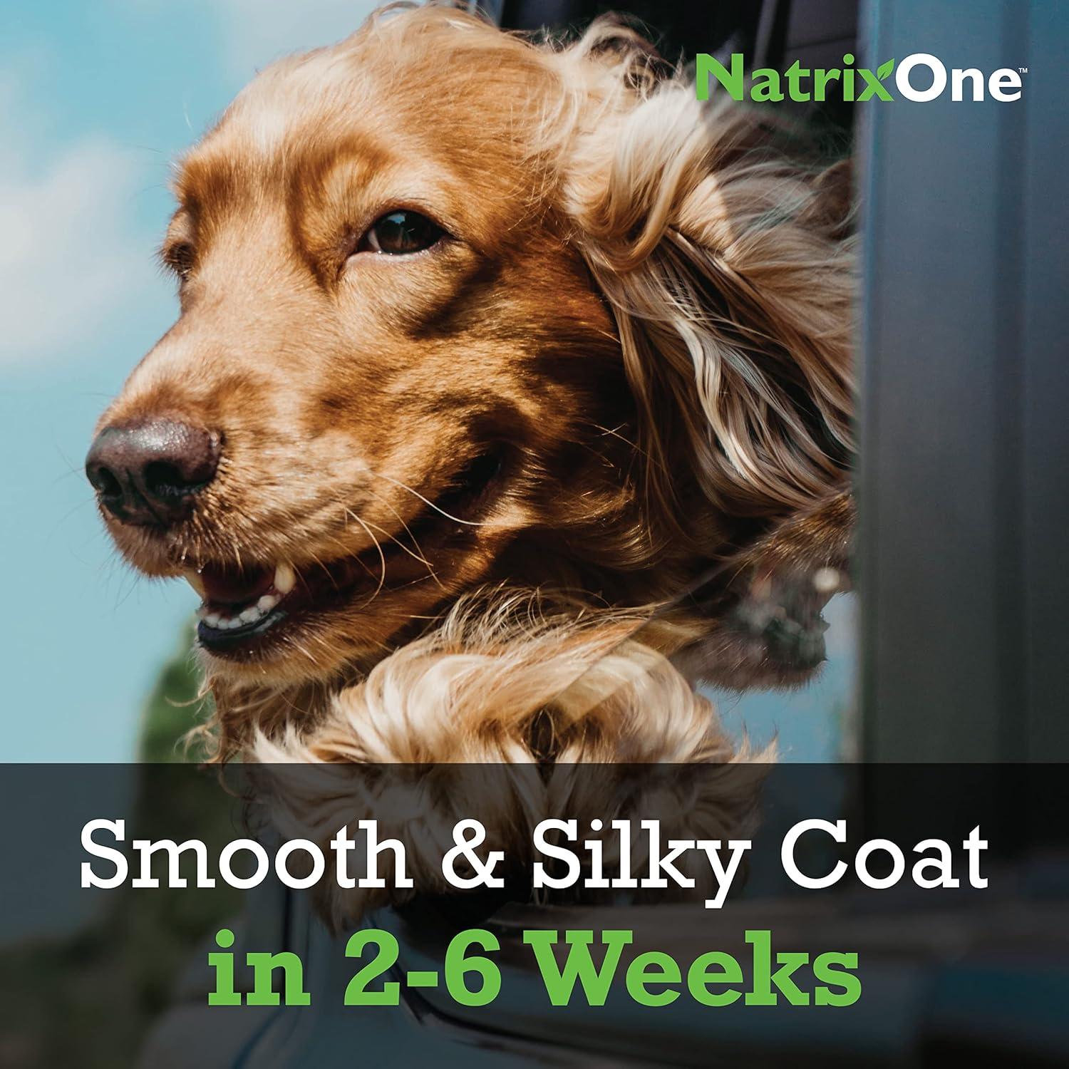 Aceite de Camelina Puro NatrixOne 226.8 g - Suplemento para Perros