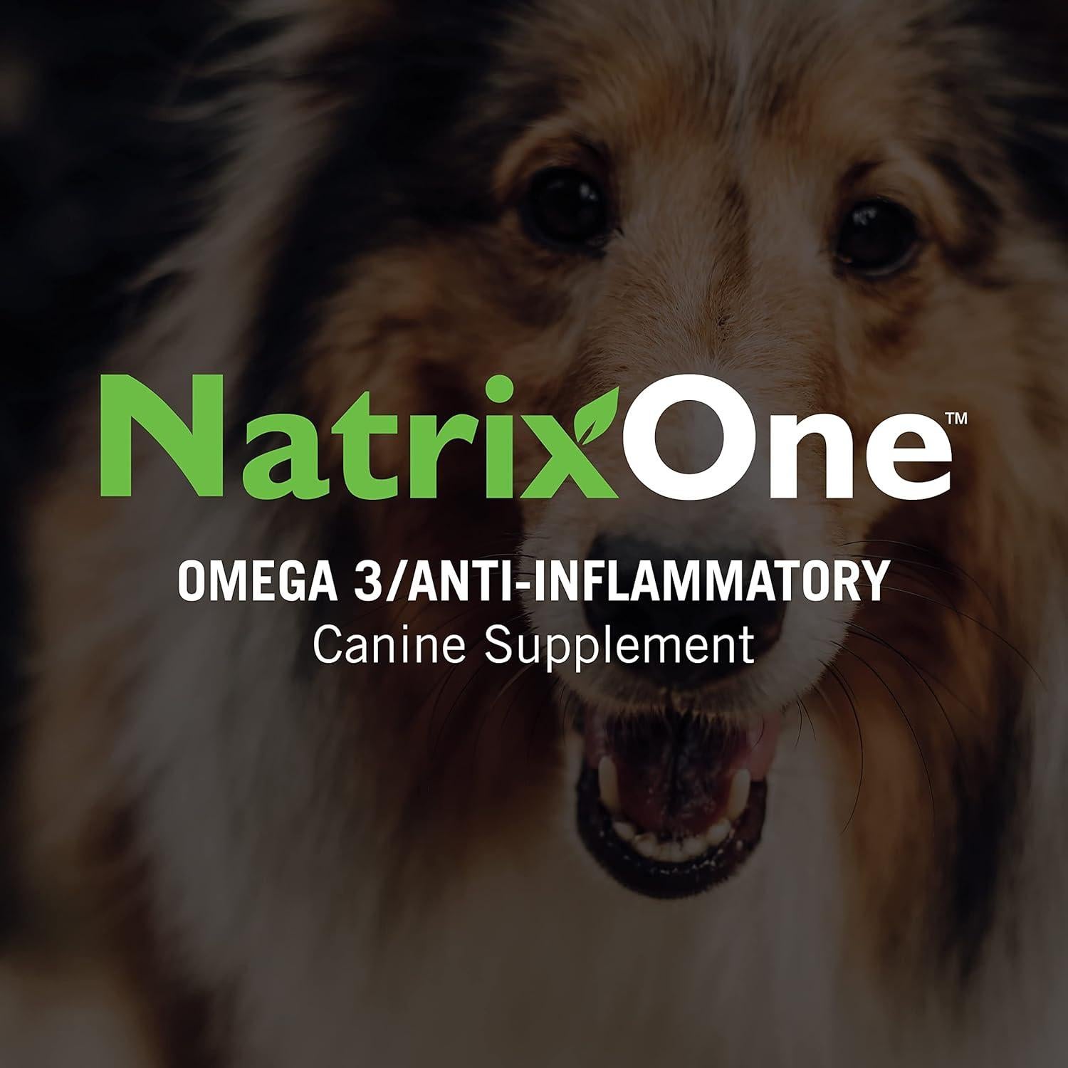 Aceite de Camelina Puro NatrixOne 226.8 g - Suplemento para Perros
