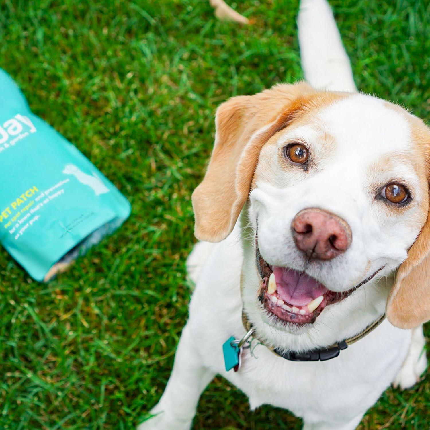 Parche para Mascotas Domingo - Reparación Césped 1240 ml