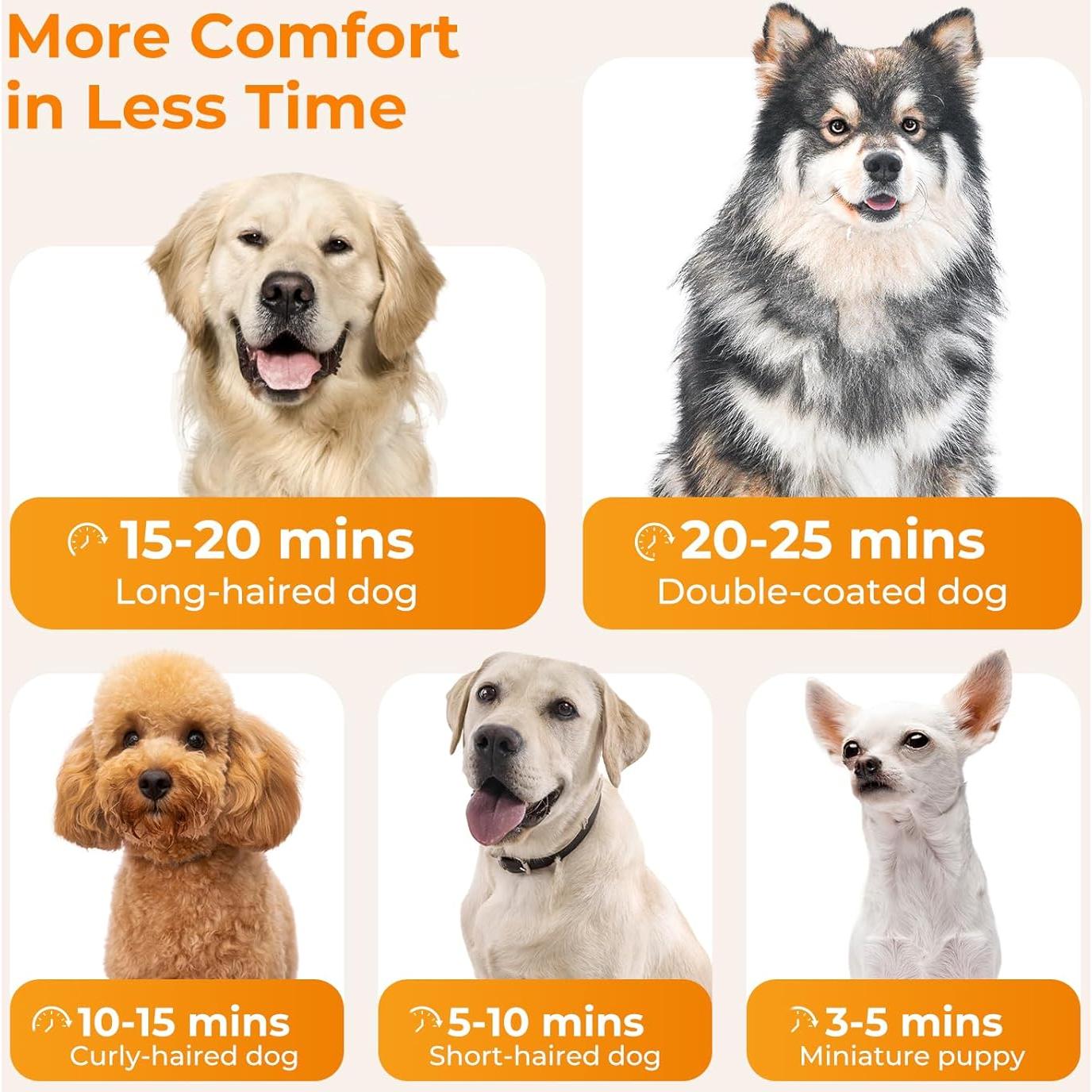 Secador de Pelo para Perros Pecute 30 m/s 4 Boquillas 65°C