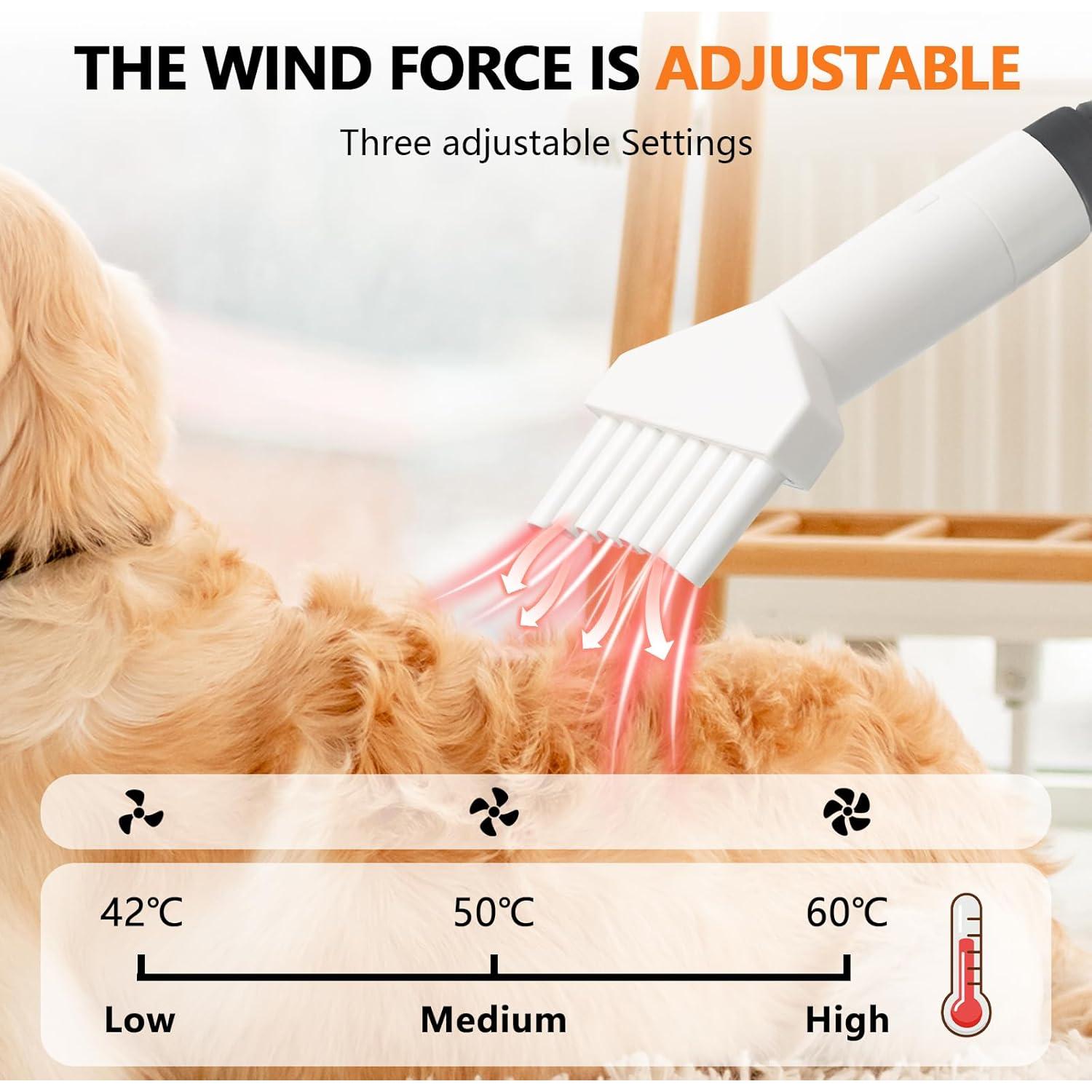 Aspiradora y Secadora para Perros Gotamaco 2.2L 11 en 1 Ajustable