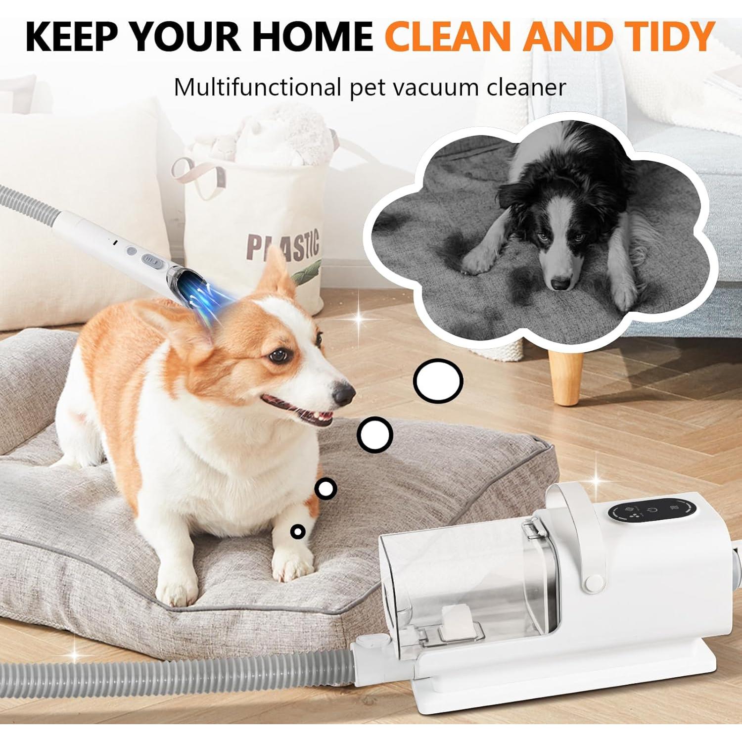 Aspiradora y Secadora para Perros Gotamaco 2.2L 11 en 1 Ajustable