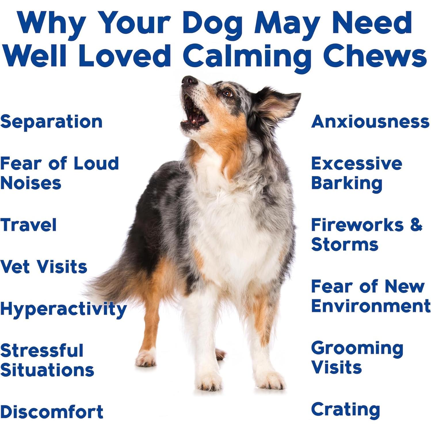 Masticables Calmantes para Perros Bien Queridos - 90 Unidades