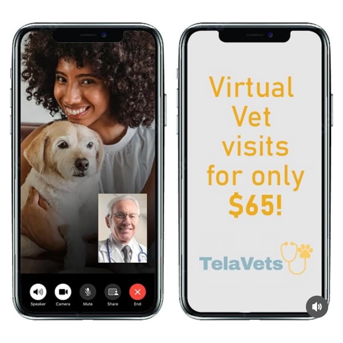 Consulta Veterinaria Virtual TelaVets - Cuidado de Mascotas $65
