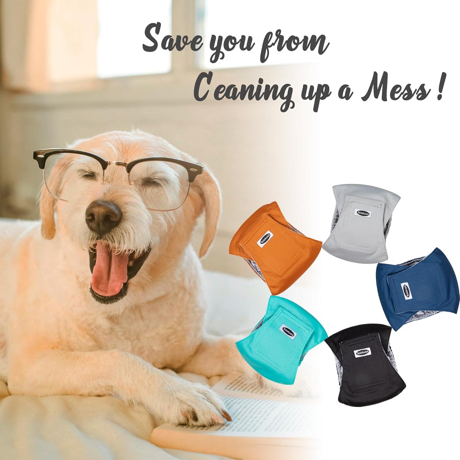 Pañales para Perros Machos Tuiskusa, 5 Unidades Reutilizables