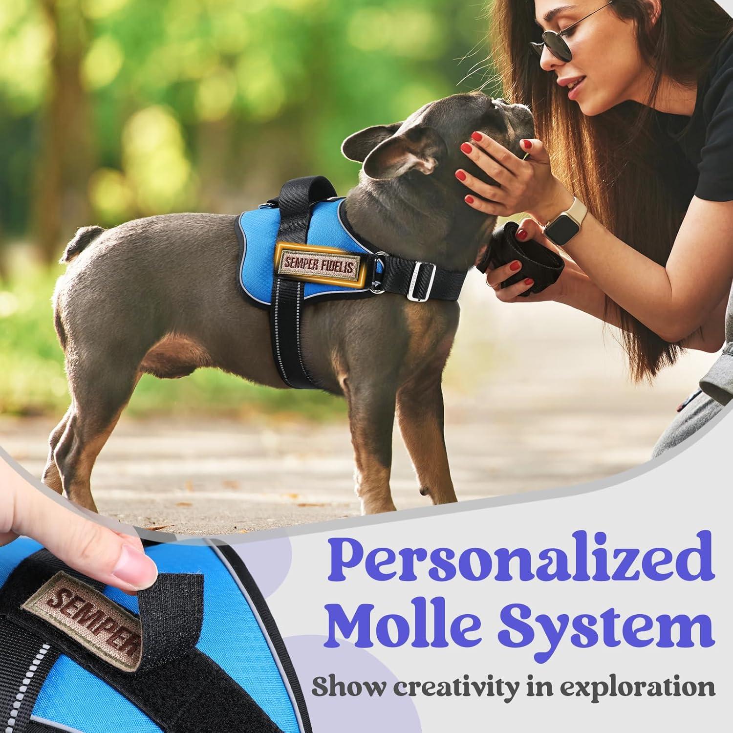 Arnés para Perros Rabbitgoo Mediano Azul Ajustable Reflectante