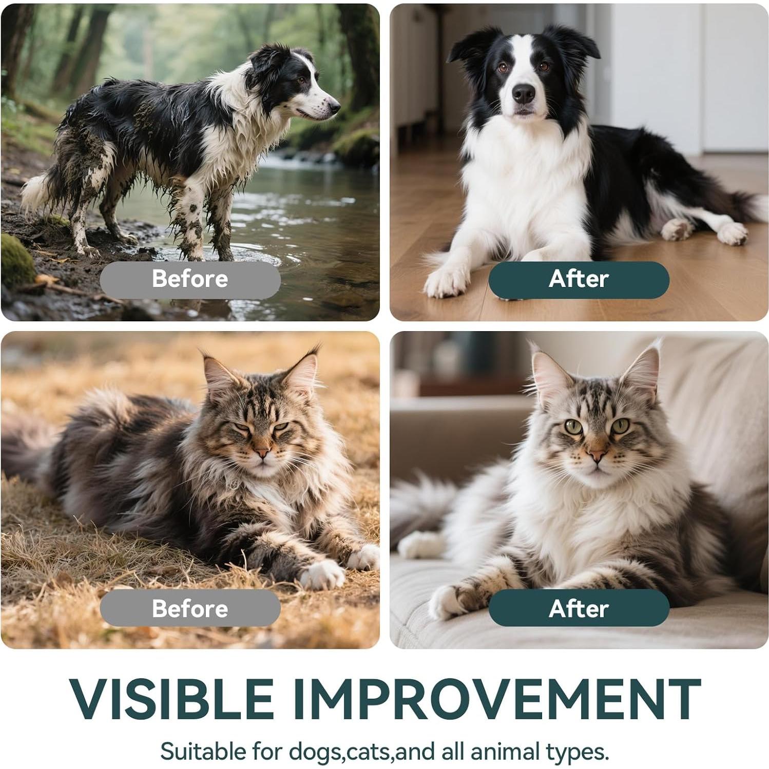 Toallitas de Limpieza para Mascotas WLP 6 PCS Hipoalergénicas