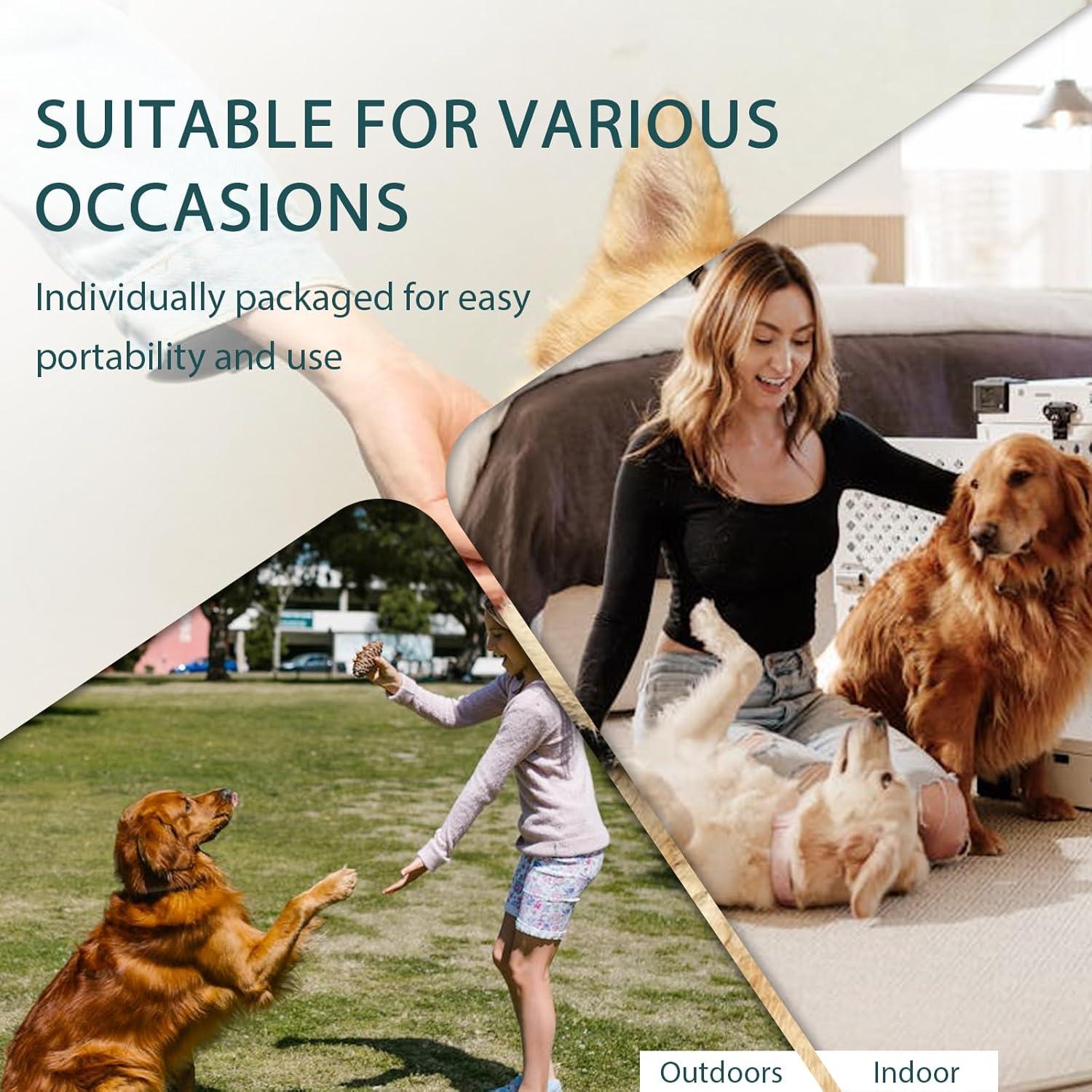 Toallitas de Limpieza para Mascotas WLP 6 PCS Hipoalergénicas