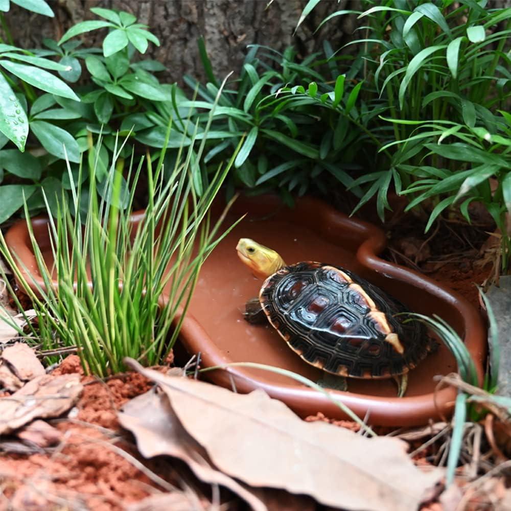 Tazón de Baño para Reptiles Flushbay 34x25cm Marrón