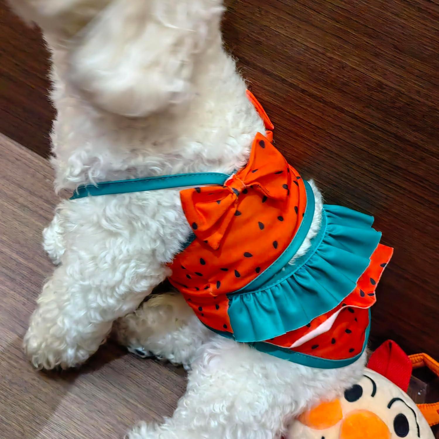 Bikini para Perros IMDOUBLEDOU Mediano Ropa de Verano