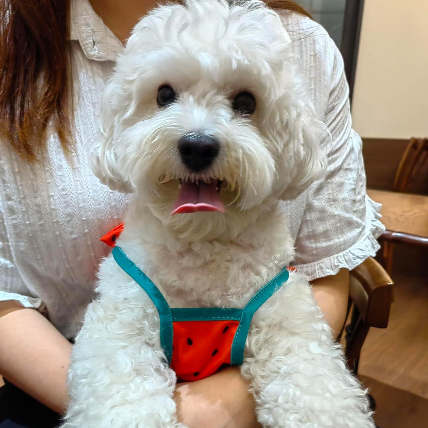 Bikini para Perros IMDOUBLEDOU Mediano Ropa de Verano