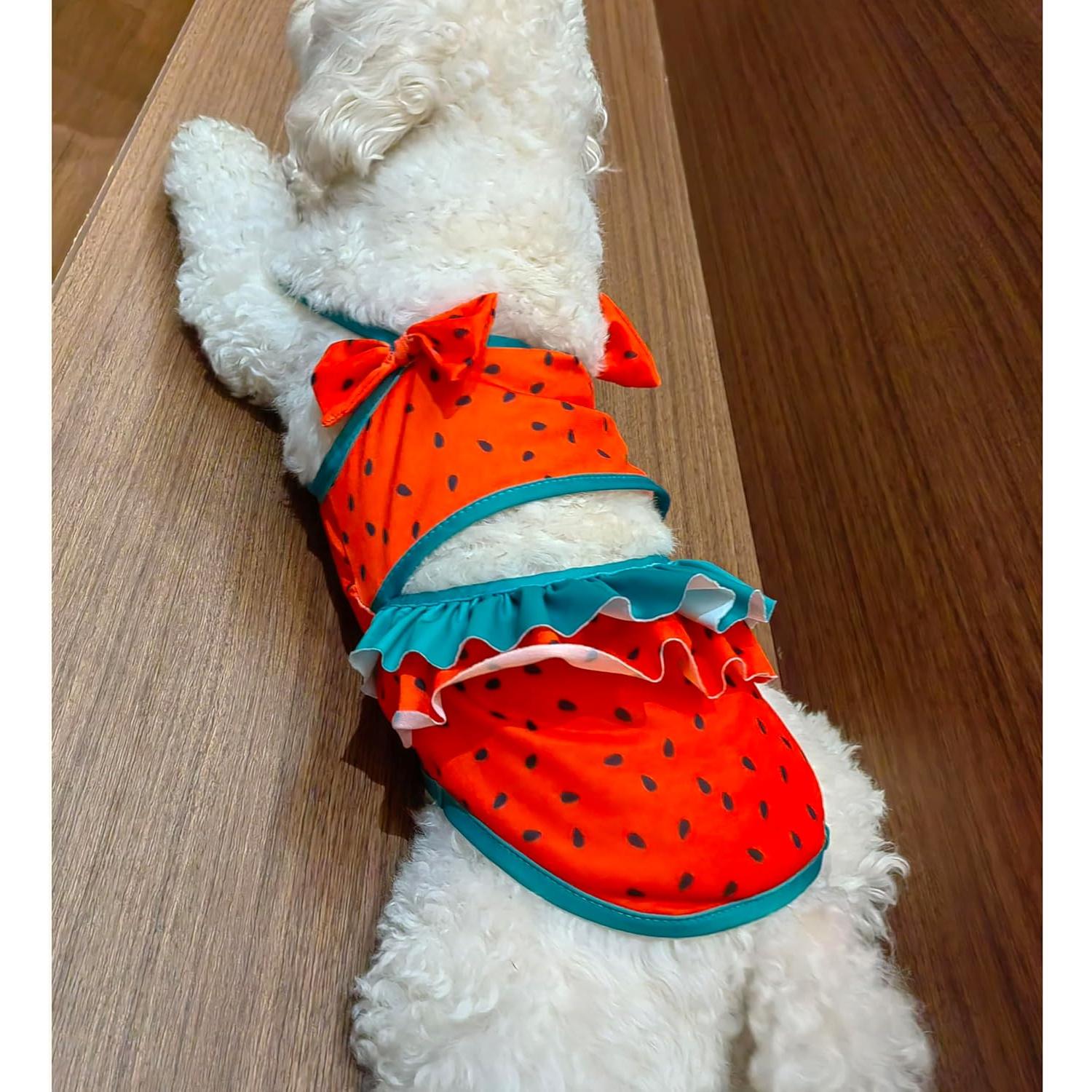 Bikini para Perros IMDOUBLEDOU Mediano Ropa de Verano