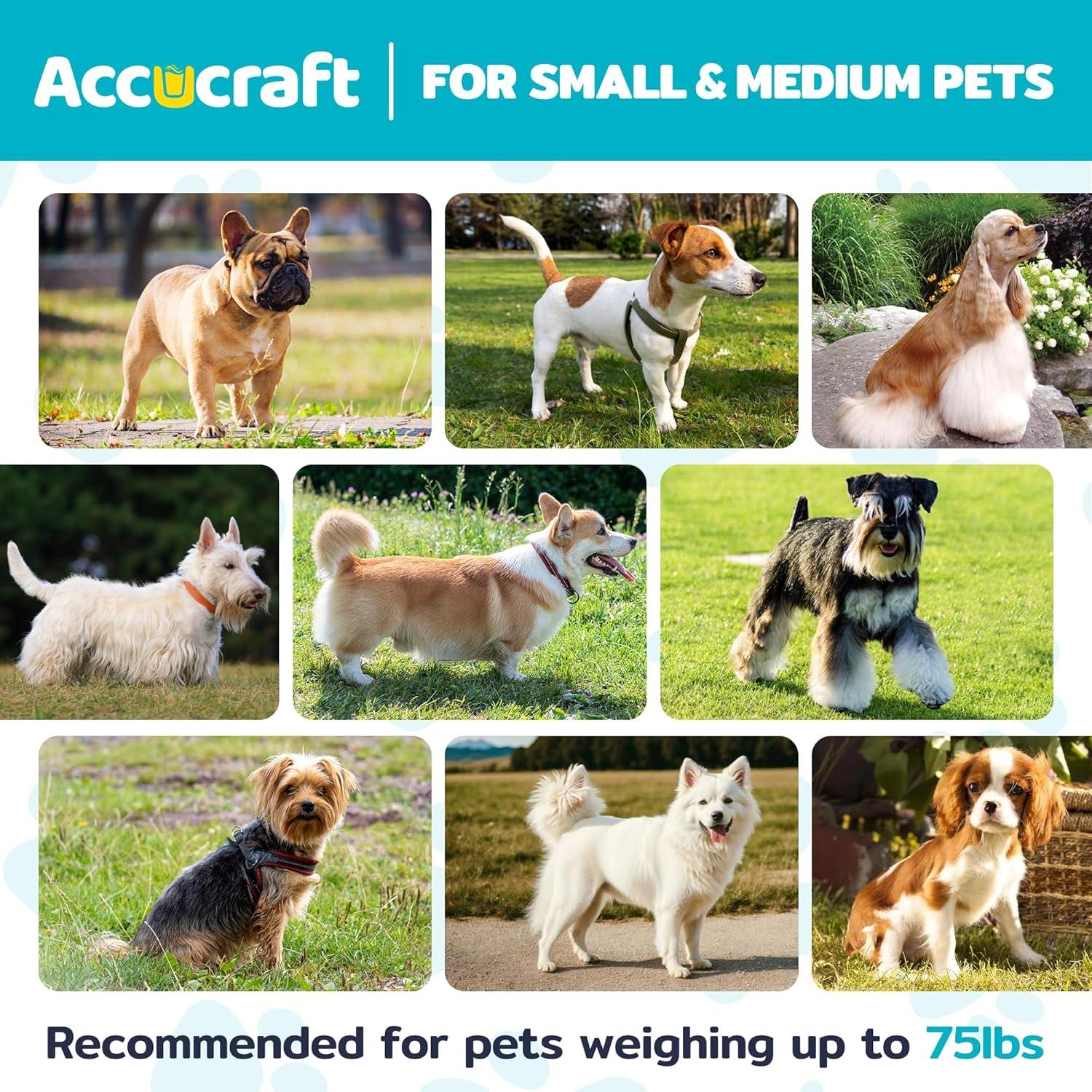 Bañera Elevada Plegable para Perros y Gatos - 3 Niveles