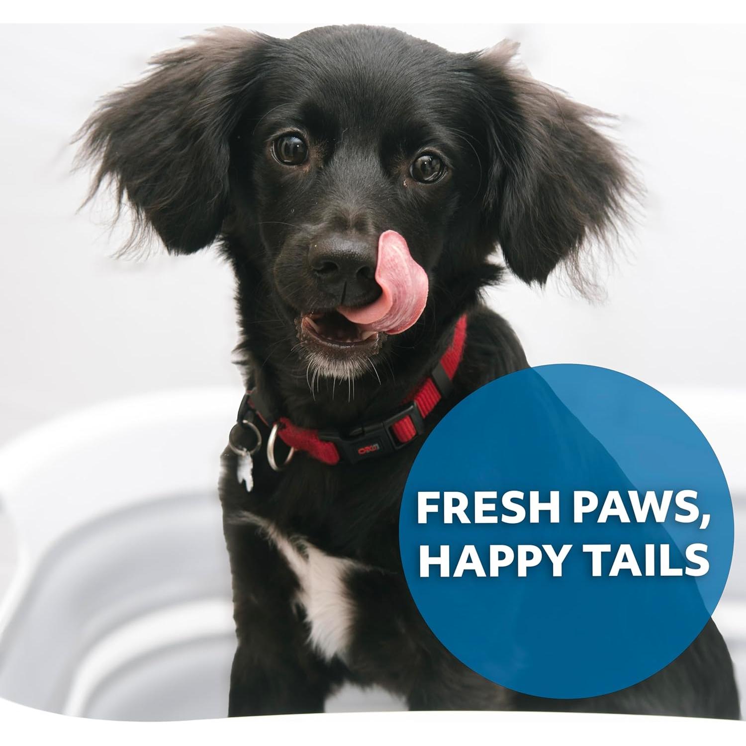 Bañera Plegable para Perros Smoochie 2 en 1 - 66x43cm