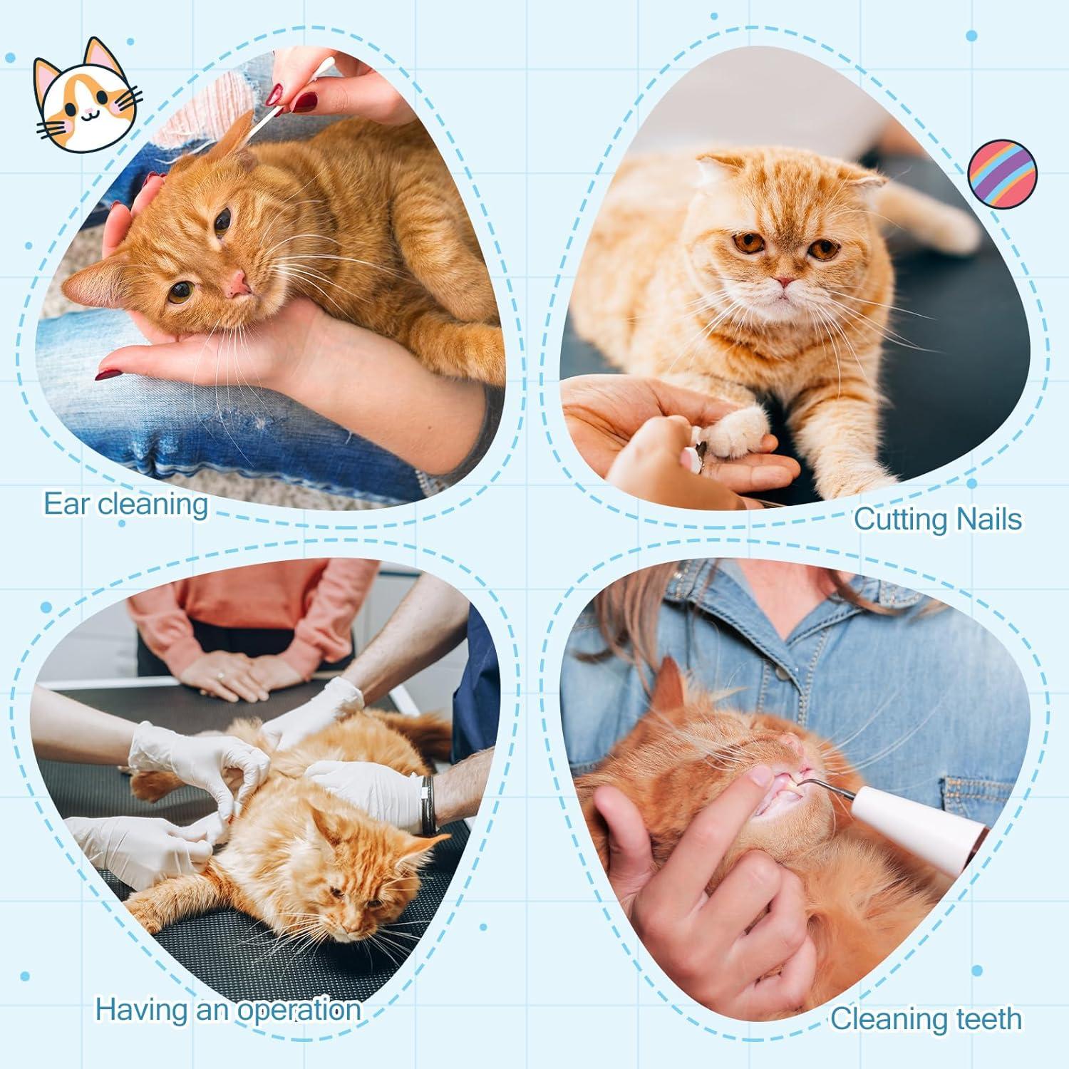 Envoltura y Bozal para Gato Chunful, 70x70 cm, Antiescape