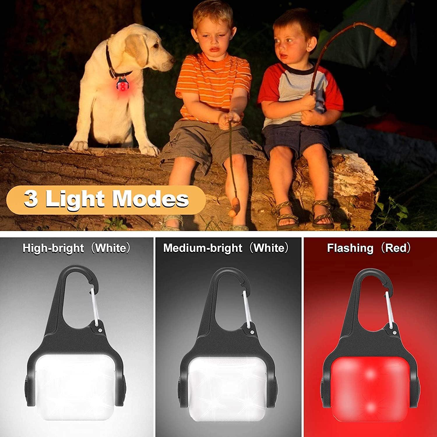 Luz de Collar para Perro Recargable USB - 3 Modos IP65