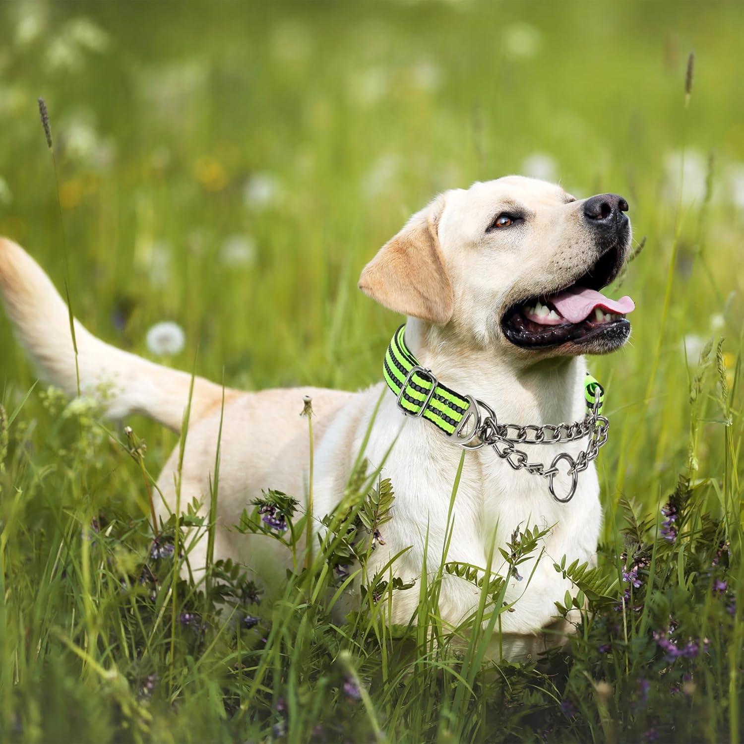 Collar Martingale Reflectante para Perros Grandes - Nylon Acolchado L