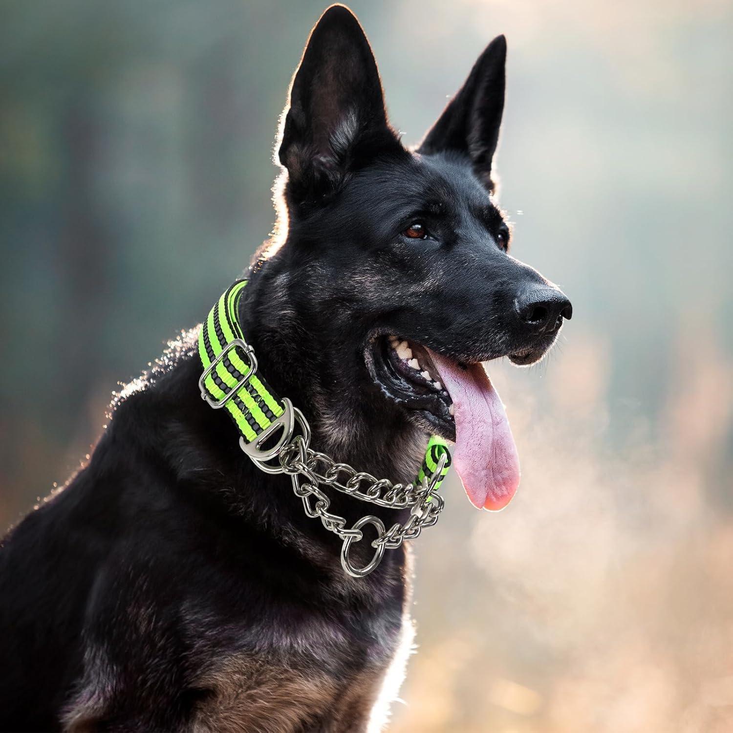 Collar Martingale Reflectante para Perros Grandes - Nylon Acolchado L