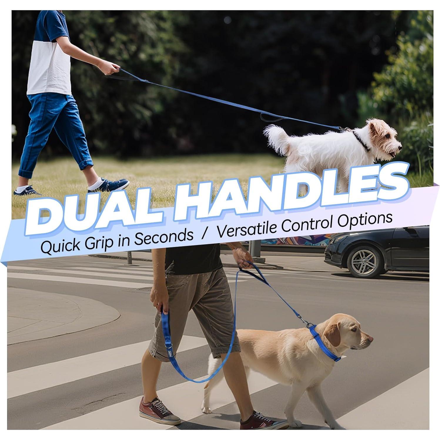 Correa Doble para Perros VIVAGLORY 1.83m Azul Resistente