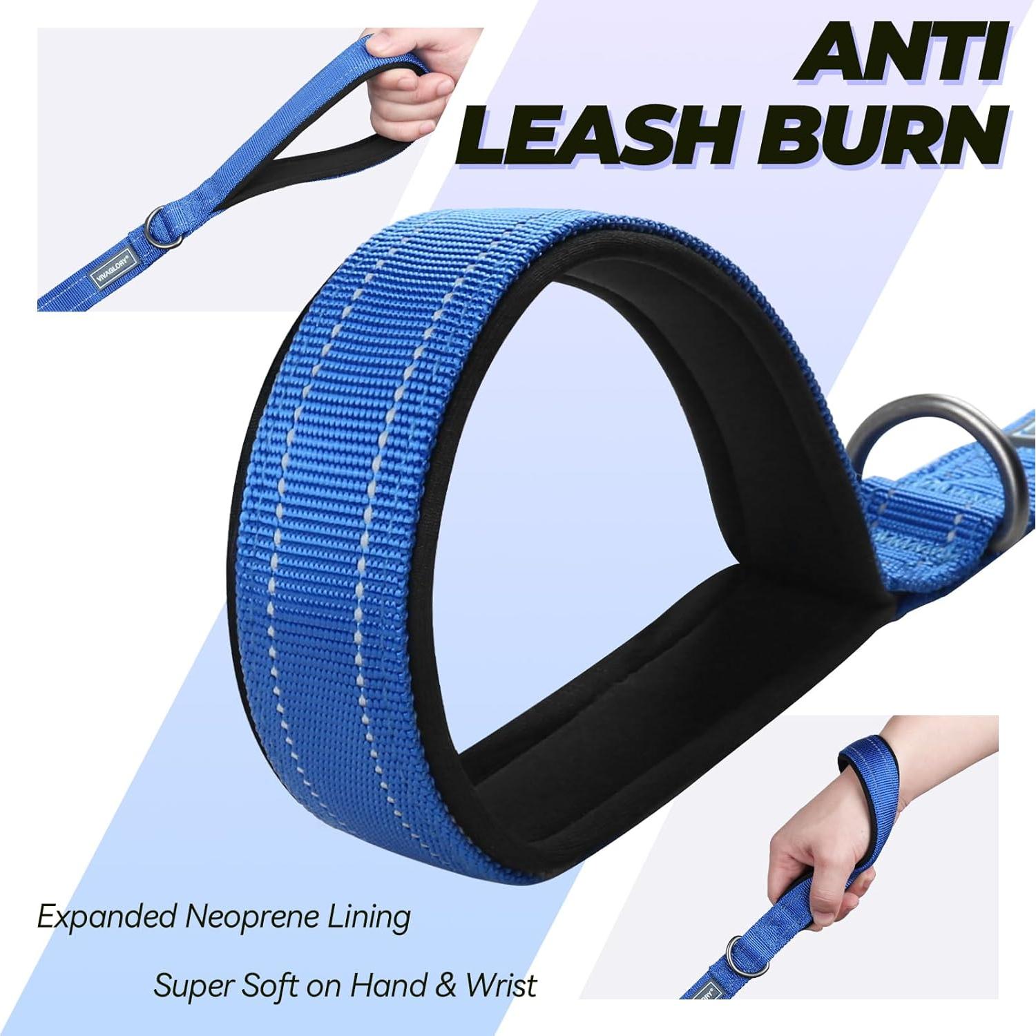 Correa Doble para Perros VIVAGLORY 1.83m Azul Resistente