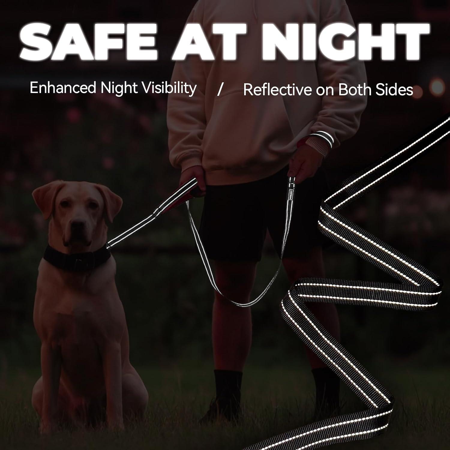 Correa Doble para Perros VIVAGLORY 1.83m Azul Resistente