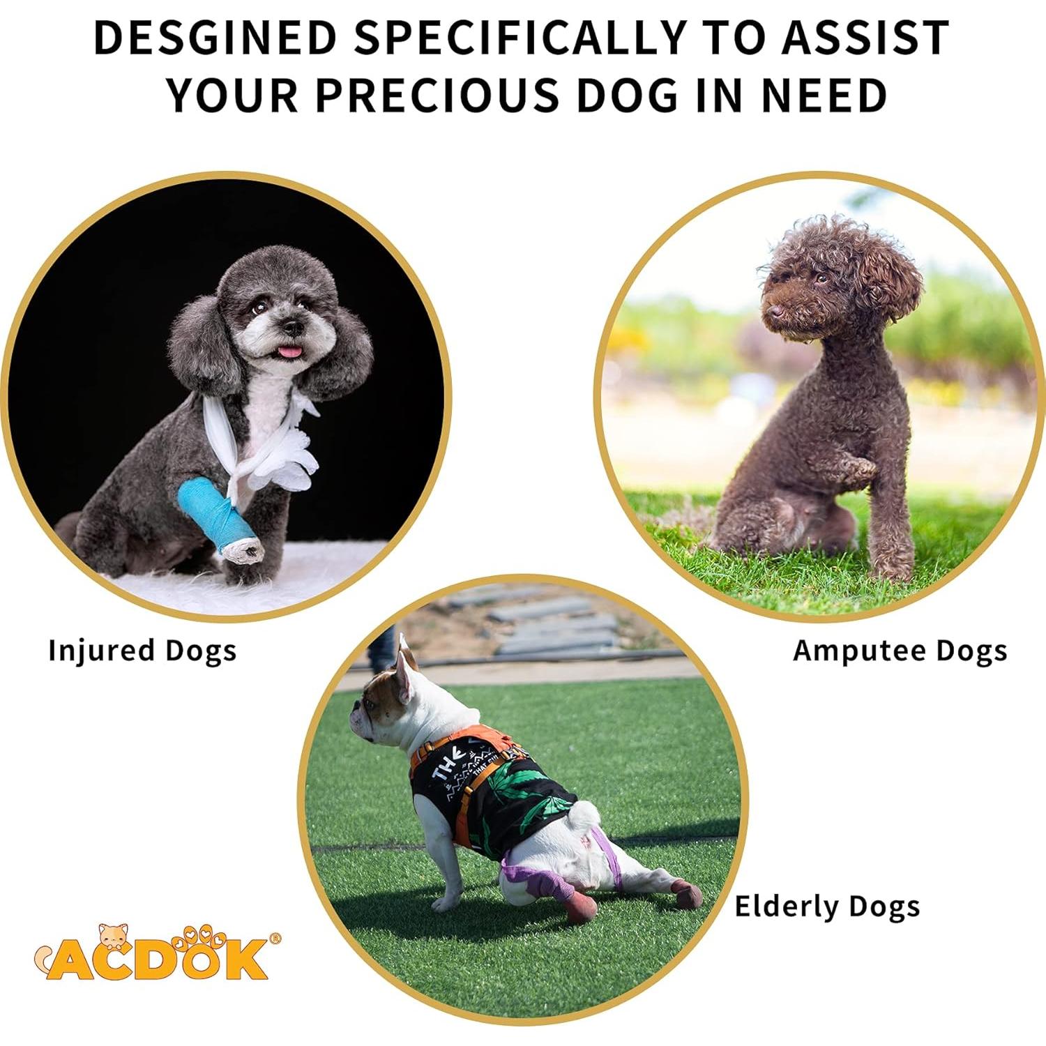 Arnés de Elevación para Perros ACDOK Pequeño Naranja Ajustable