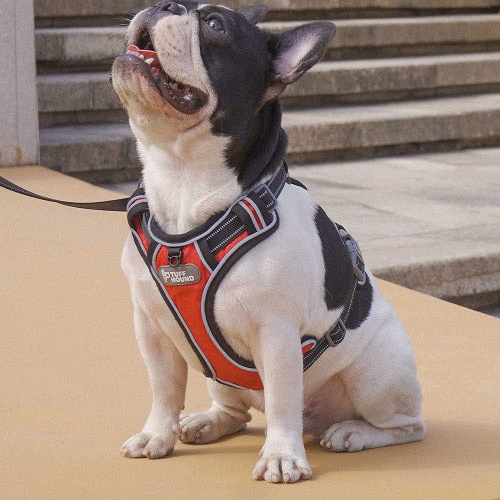 Arnés para Perros Rhea Rose XL Ajustable Reflectante Rojo