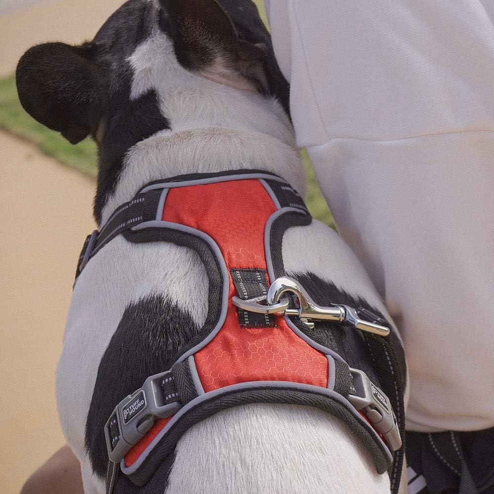 Arnés para Perros Rhea Rose XL Ajustable Reflectante Rojo