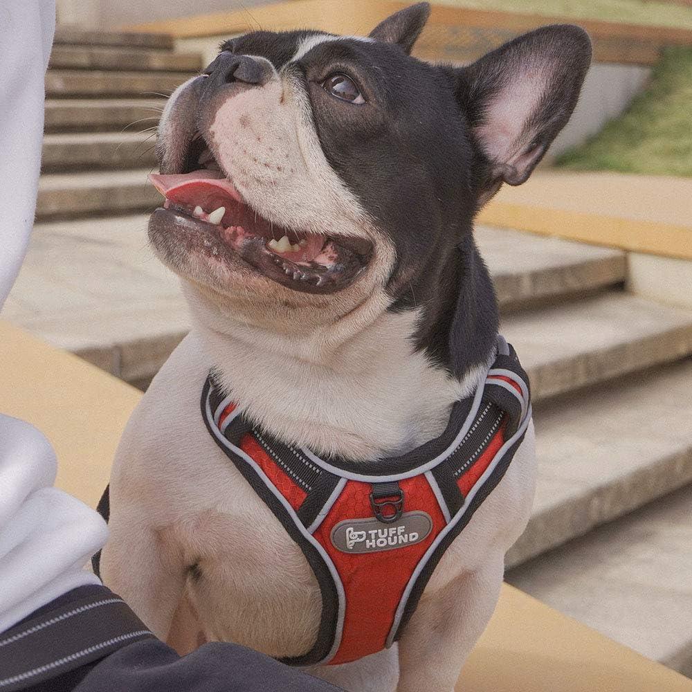 Arnés para Perros Rhea Rose XL Ajustable Reflectante Rojo