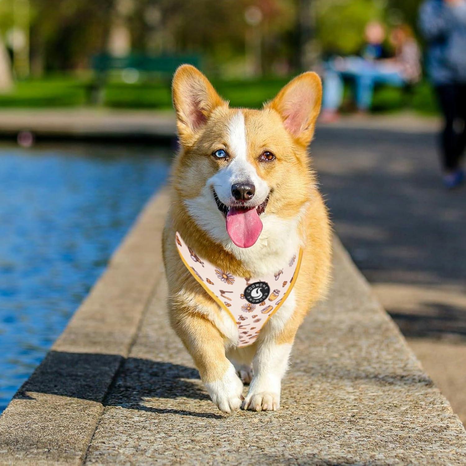 Arnés y Correa Ajustable Coowone para Perro Grande Abejorro