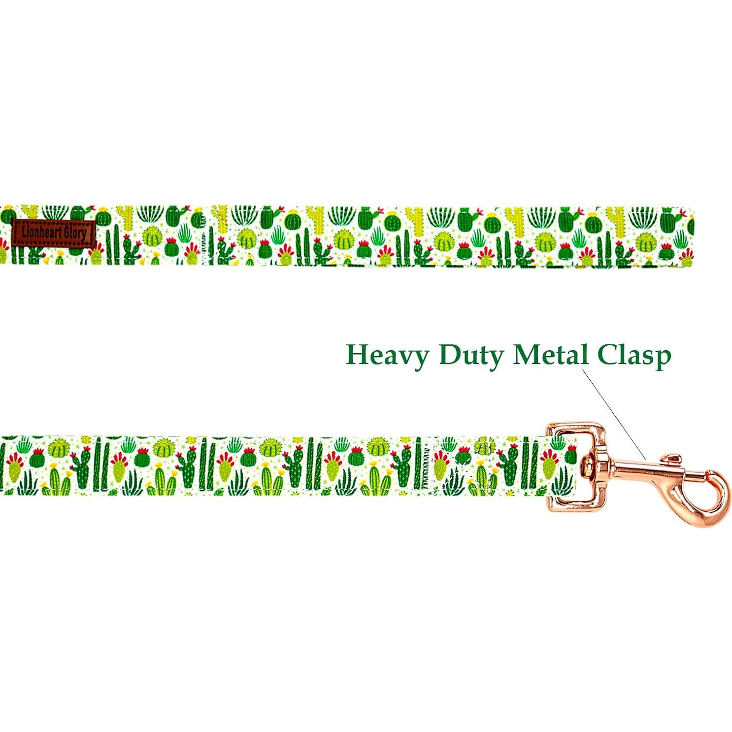 Correa para Perros Lionheart Glory Pequeña 1.22m Verde