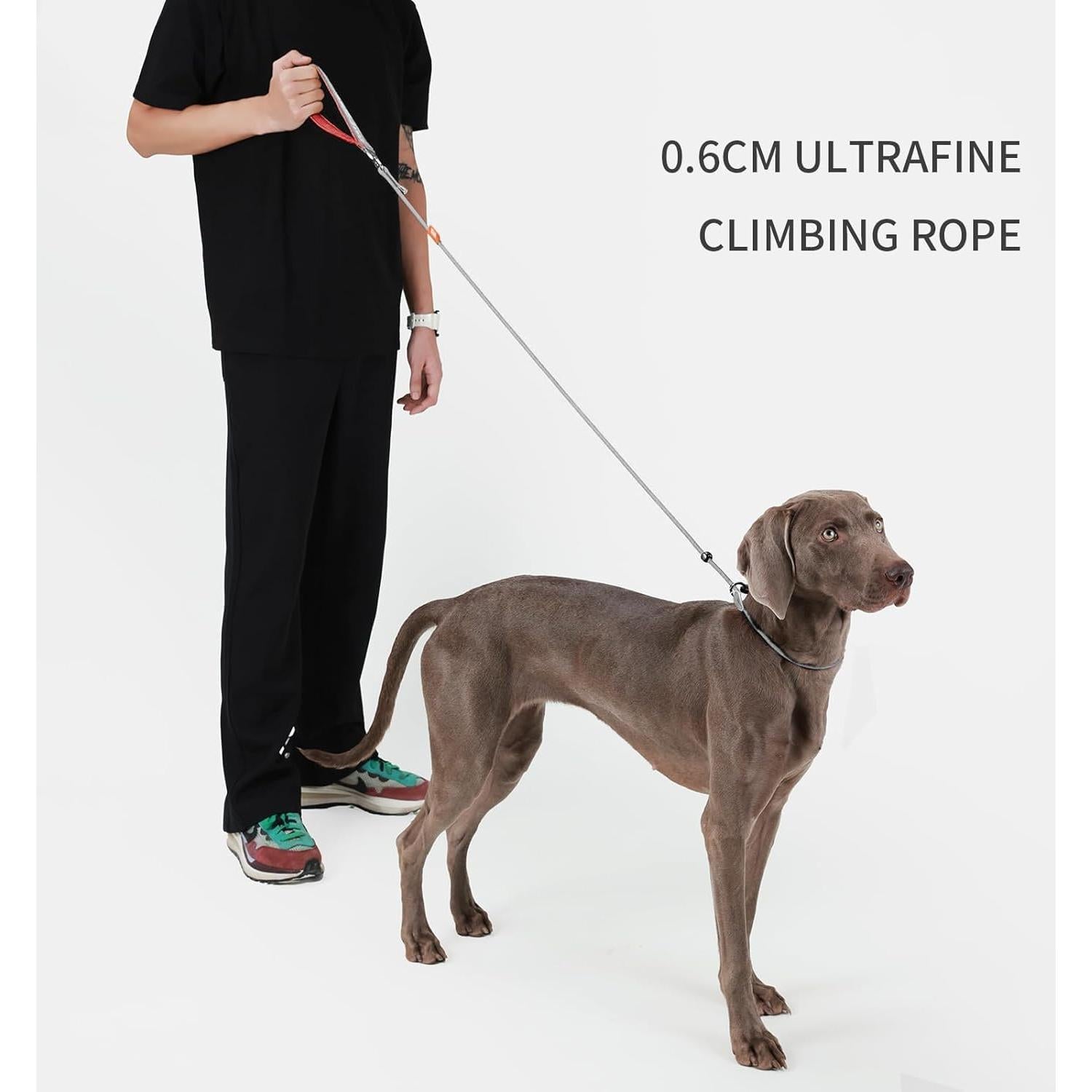 Correa Antideslizante para Perros Mabawa 1.5m Nylon Gris