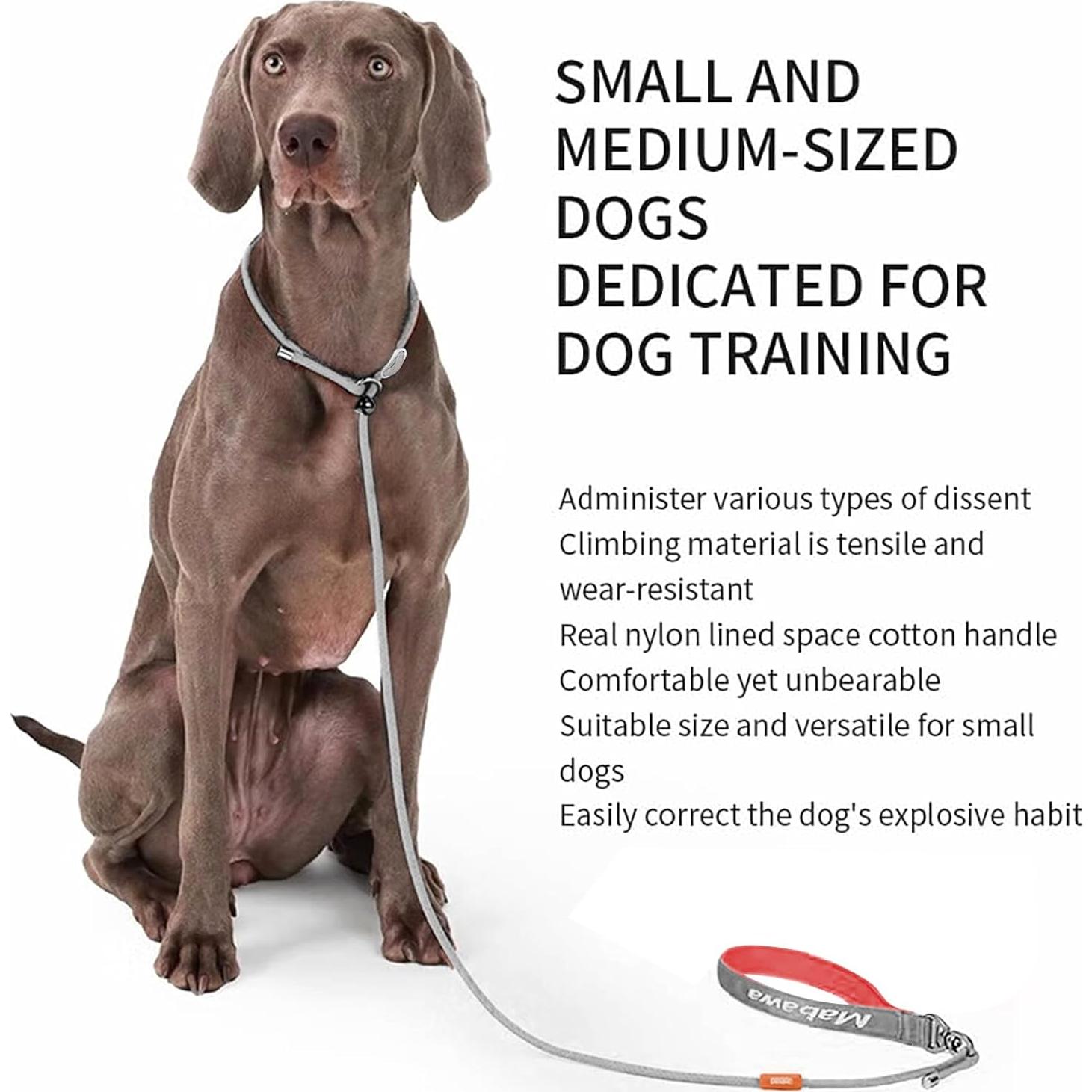 Correa Antideslizante para Perros Mabawa 1.5m Nylon Gris