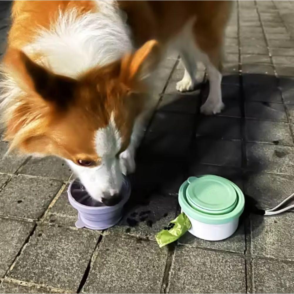 Tazón Plegable 3 en 1 para Perros Poshirae - Silicona Violeta