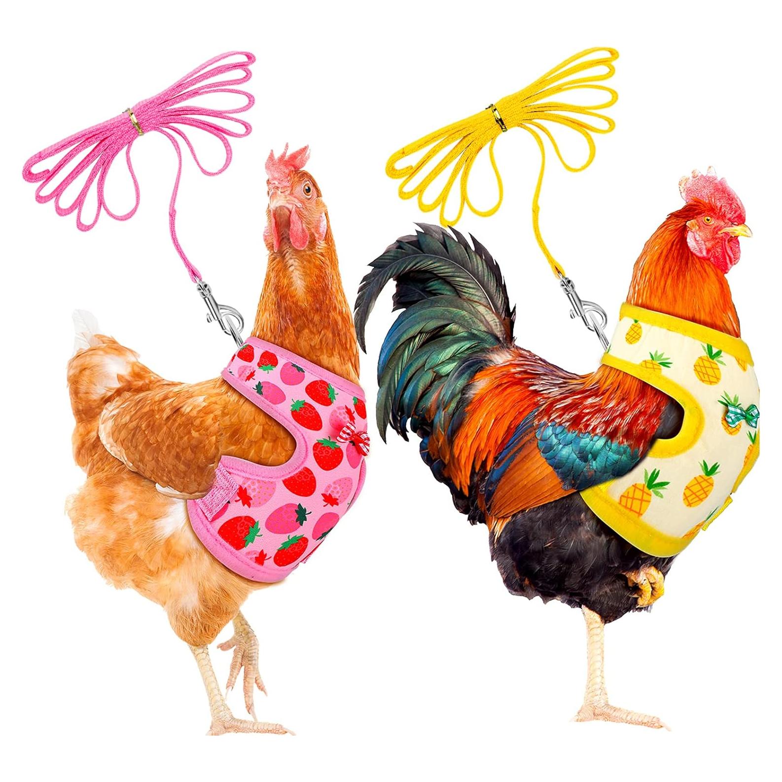 Conjunto Arnés y Correa Ajustable Frienda para Gallinas Mediano