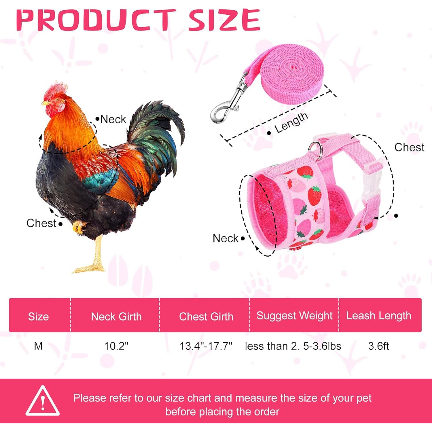 Conjunto Arnés y Correa Ajustable Frienda para Gallinas Mediano