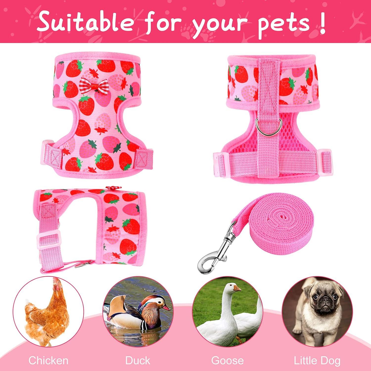 Conjunto Arnés y Correa Ajustable Frienda para Gallinas Mediano